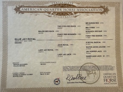 Ellie Jay Royal Broodmare - 2