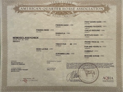 Nemosclassychick Broodmare - 3