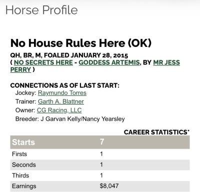 No House Rules Here Broodmare - 4