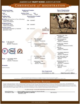 RT A Tru Stingtray Weanling Filly - 8